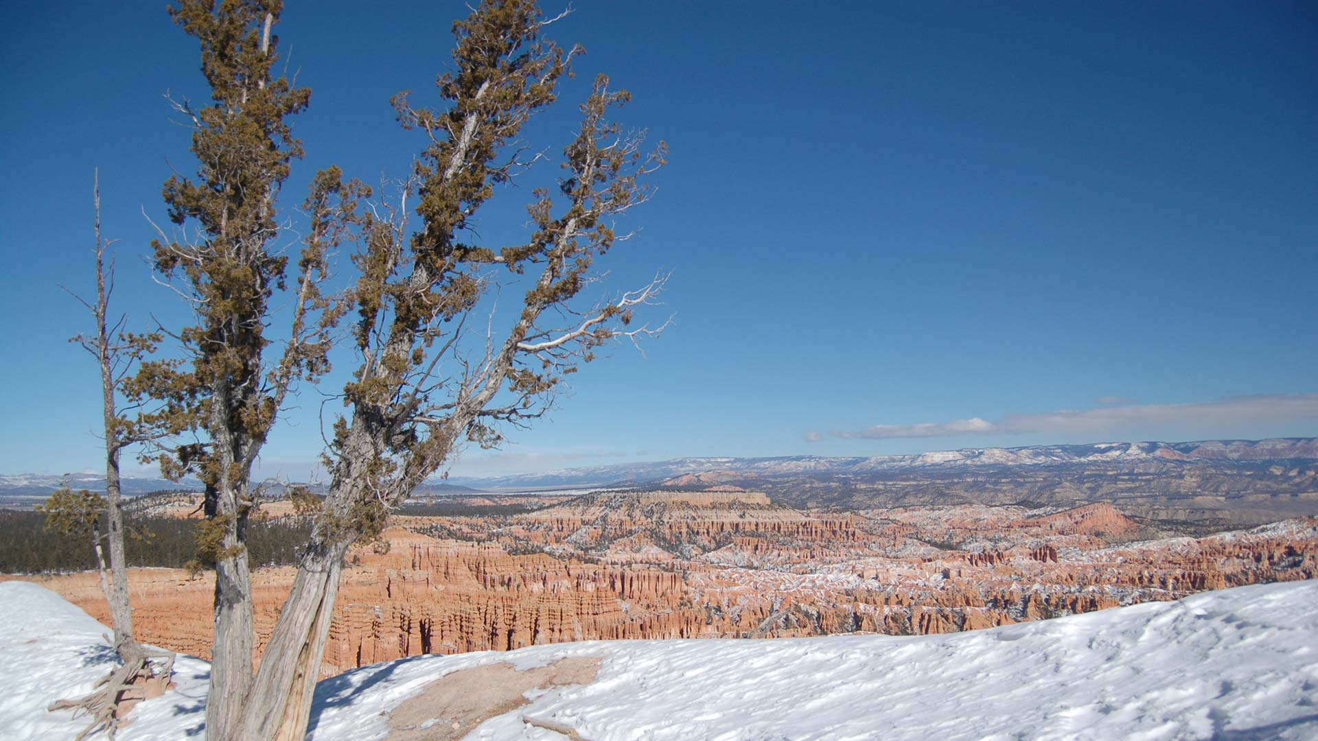 Bryce Canyon blue sky and snow in winter