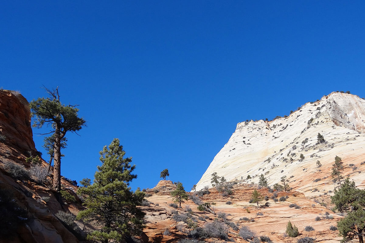 bryce canyon private tours